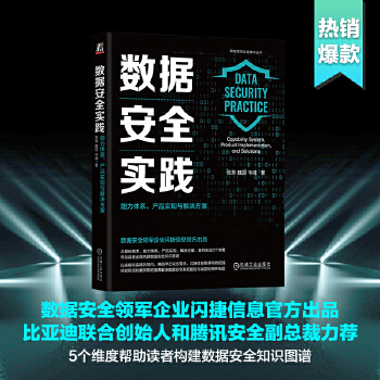 《 数据安全实践：能力体系、产品实现与解决方案 张黎 魏园 岑峰》[69M]百度网盘|pdf下载|亲测有效