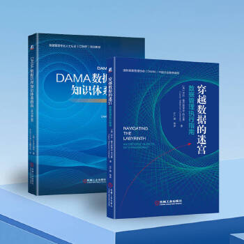 《 DAMA数据管理知识体系指南+穿越数据的迷宫（套装共2册）》[95M]百度网盘|pdf下载|亲测有效
