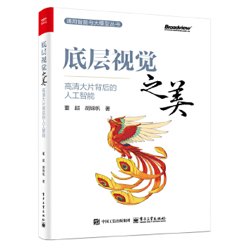 《 底层视觉之美：高清大片背后的人工智能》[58M]百度网盘|pdf下载|亲测有效